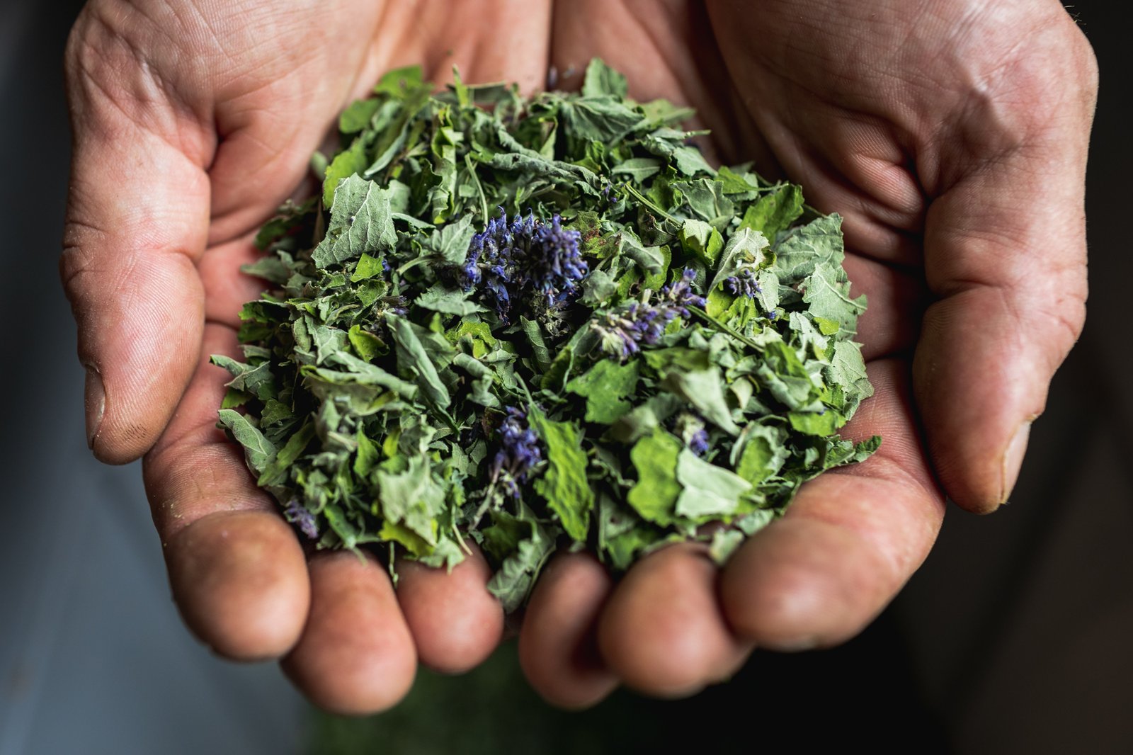 Fresh Dried Herbs Directly From The Farm - 